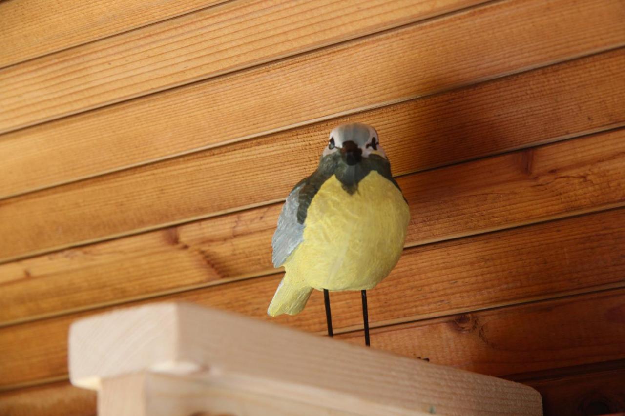 Tiny Pipowagen Koolmees Otel Oudesluis  Dış mekan fotoğraf
